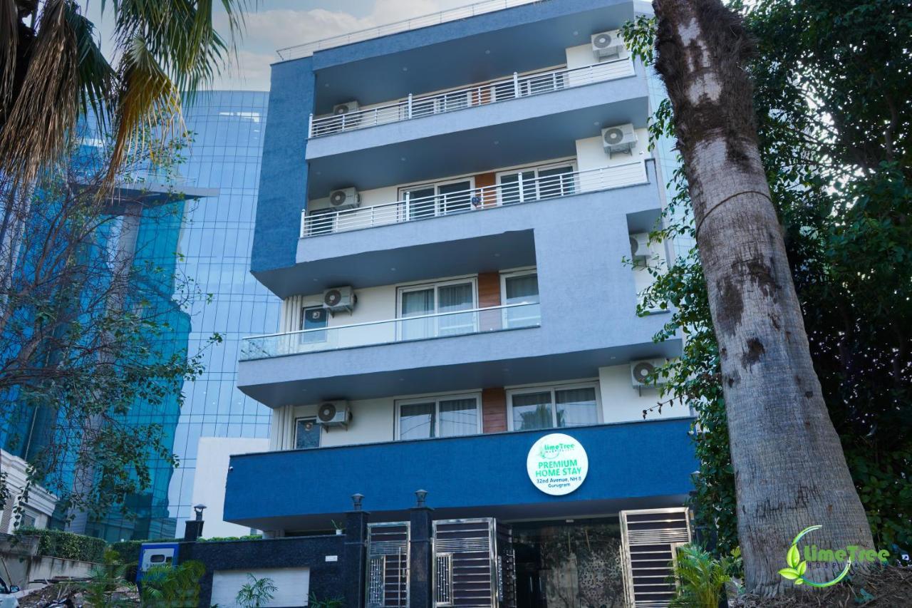 Lime Tree Hotel Near 32Nd Avenue Sector 29 古尔冈 外观 照片